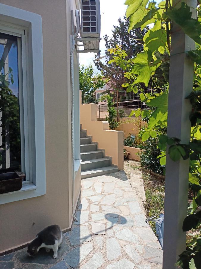 Filion Comfortable Country Apartment Levkákia Zewnętrze zdjęcie
